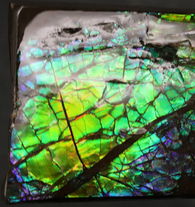 見ているだけで明るい気持ちになれる、色鮮やかなグリーンを呈する、アンモライト(Ammolite)のピース(その2)