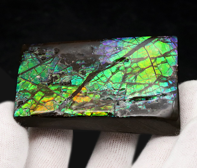 見ているだけで明るい気持ちになれる、色鮮やかなグリーンを呈する、アンモライト(Ammolite)のピース(その3)