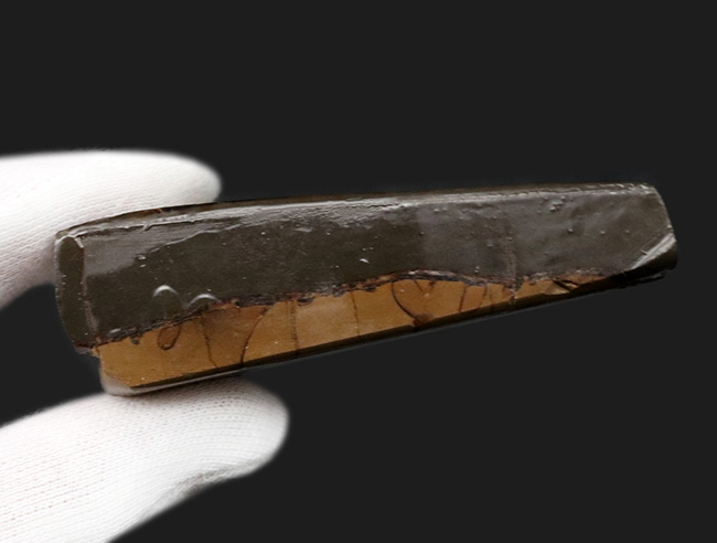 見ているだけで明るい気持ちになれる、色鮮やかなグリーンを呈する、アンモライト(Ammolite)のピース(その6)
