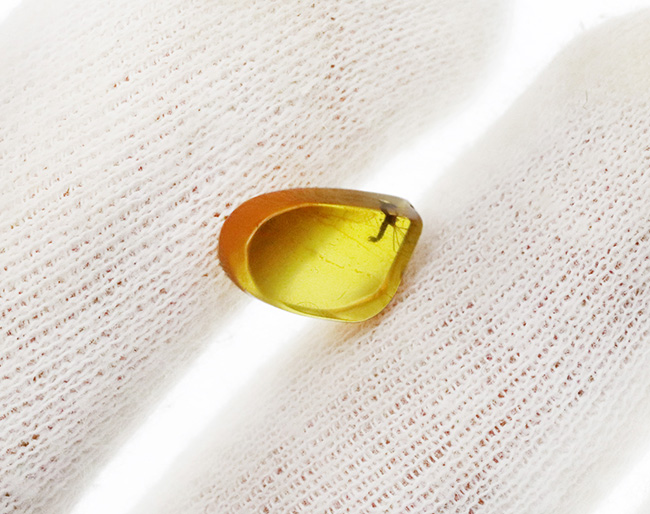 この透明度は必見です!完璧といって良い保存状態を維持した羽虫をたった1匹だけ内包した、ミャンマー産の恐竜時代の琥珀、バーマイト(Burmite)、ミャンマー産の恐竜時代の琥珀、バーマイト(Burmite)(その3)