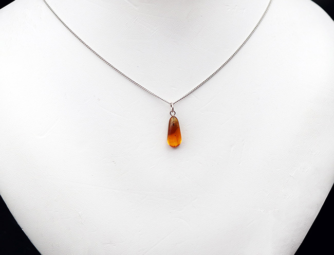 まさに琥珀色!4000万年前の虫を内包したバルティックアンバー(Amber)を使ったペンダントトップ(シルバーチェーン、高級ジュエリーケース付き)(その2)