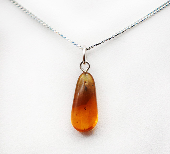 まさに琥珀色!4000万年前の虫を内包したバルティックアンバー(Amber)を使ったペンダントトップ(シルバーチェーン、高級ジュエリーケース付き)(その3)