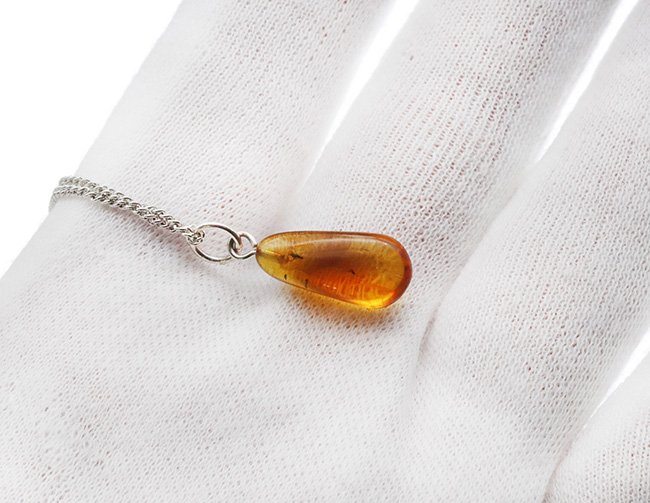 まさに琥珀色！４０００万年前の虫を内包したバルティックアンバー（Amber）を使ったペンダントトップ（シルバーチェーン、高級ジュエリーケース付き）（その4）