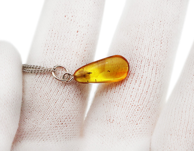 まさに琥珀色!4000万年前の虫を内包したバルティックアンバー(Amber)を使ったペンダントトップ(シルバーチェーン、高級ジュエリーケース付き)(その5)