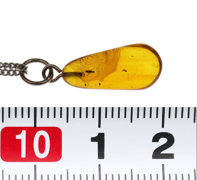 まさに琥珀色!4000万年前の虫を内包したバルティックアンバー(Amber)を使ったペンダントトップ(シルバーチェーン、高級ジュエリーケース付き)(その7)
