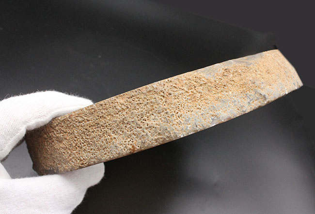 古代より王侯貴族によって重宝されてきたメノウ。22センチ、2.5キロオーバー!透明度高いブラジル産メノウ(Agate)(その9)