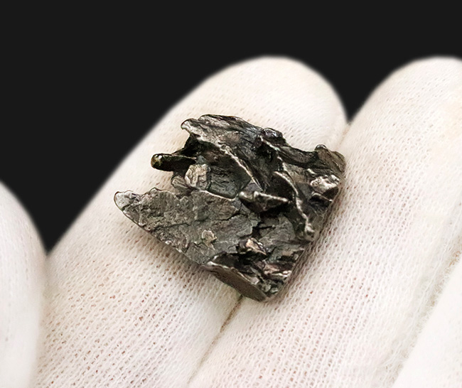 伝承に彩られた落下の記憶……ロマンあふれるチャコ隕石こと、カンポ・デル・シエロ(Campo del Cielo)(その2)