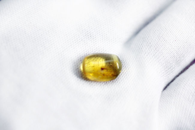 ルーペで覗いてみてほしい。古代より人々を魅了して止まない、バルト海産琥珀(Amber)。透明度高く、虫入りです。(その4)