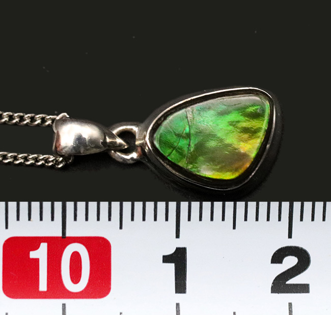 ready-to-use!ナチュラルなシェイプが愛らしい、宝石アンモライト(Ammolite)を使ったペンダントトップ。金具はスターリングシルバー。チェーン、革紐、ジュエリーケース付き(その7)