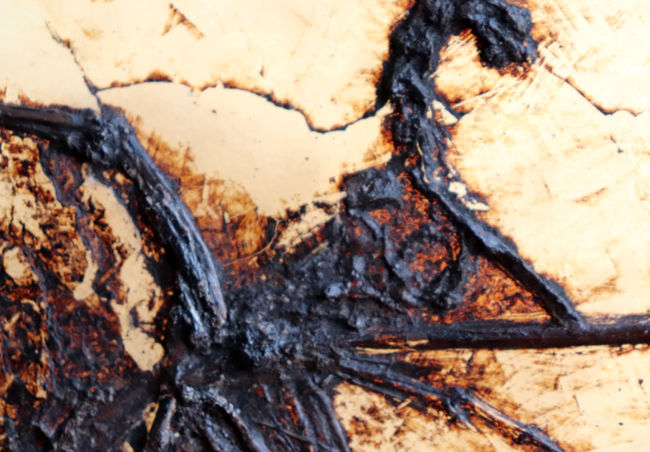 X線CT写真付き、ウルトラレア!博物館級5000万年前ドイツ・メッセル・ピット産の鳥(Bird)の化石。貴重なオールドコレクション(その8)