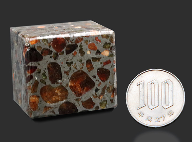 贅沢な豆腐カット！状態の良いカンラン石が美しいブラウンを呈する、石鉄隕石、ケニアン・パラサイト（その9）