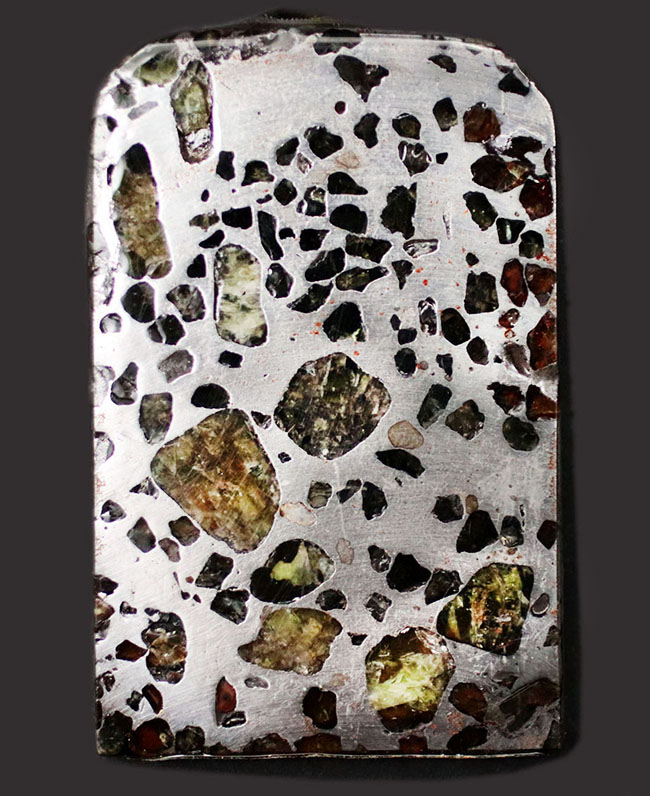 鉄とカンラン石かなる特殊な構造で知られる、美しき石鉄隕石、パラサイトのスライス標本（その1）