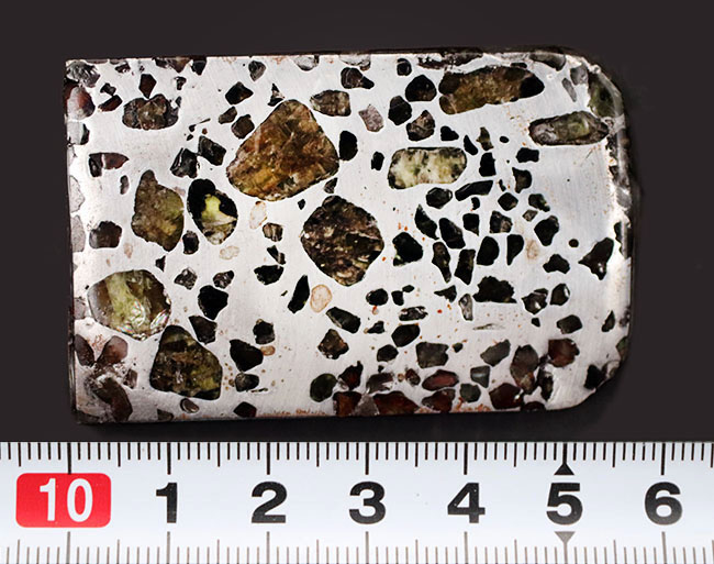 鉄とカンラン石かなる特殊な構造で知られる、美しき石鉄隕石、パラサイトのスライス標本（その10）