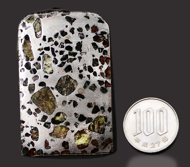 鉄とカンラン石かなる特殊な構造で知られる、美しき石鉄隕石、パラサイトのスライス標本（その11）