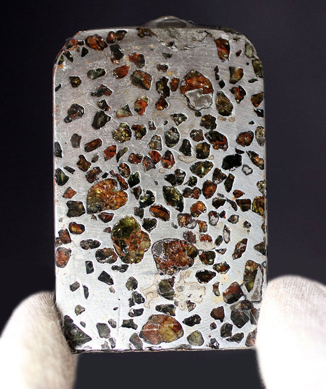 鉄とカンラン石かなる特殊な構造で知られる、美しき石鉄隕石、パラサイトのスライス標本（その2）