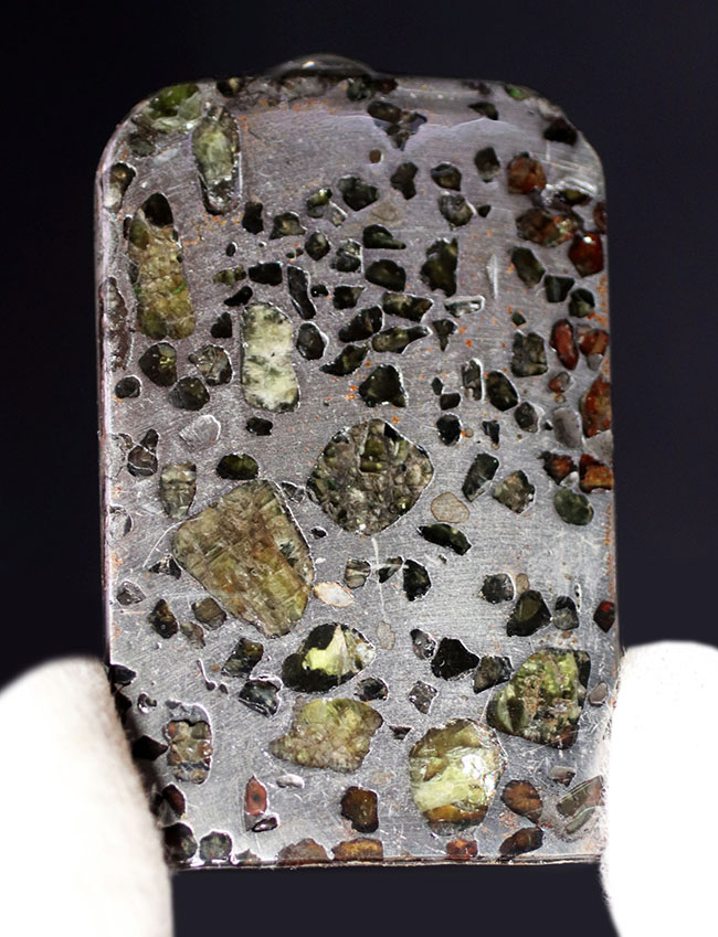 鉄とカンラン石かなる特殊な構造で知られる、美しき石鉄隕石、パラサイトのスライス標本（その3）