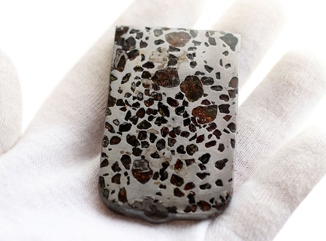 鉄とカンラン石かなる特殊な構造で知られる、美しき石鉄隕石、パラサイトのスライス標本（その5）