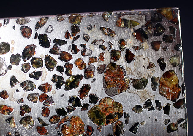 鉄とカンラン石かなる特殊な構造で知られる、美しき石鉄隕石、パラサイトのスライス標本（その6）