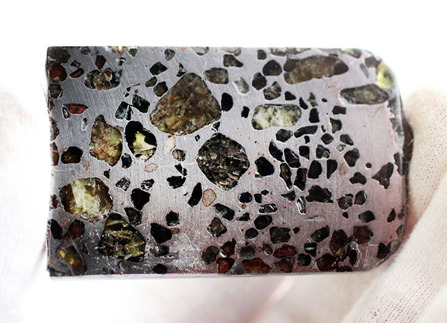 鉄とカンラン石かなる特殊な構造で知られる、美しき石鉄隕石、パラサイトのスライス標本（その7）