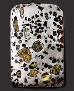 鉄とカンラン石かなる特殊な構造で知られる、美しき石鉄隕石、パラサイトのスライス標本