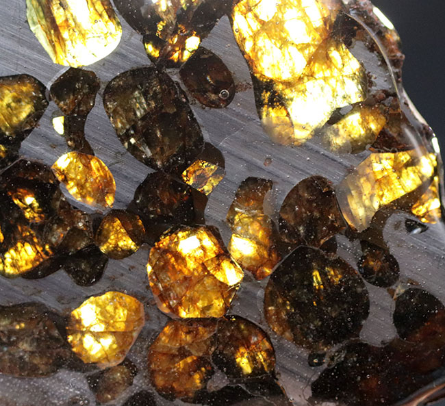 保存状態良好、ケニア産パラサイト隕石のピース（その2）