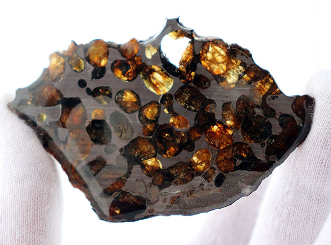 保存状態良好、ケニア産パラサイト隕石のピース（その3）