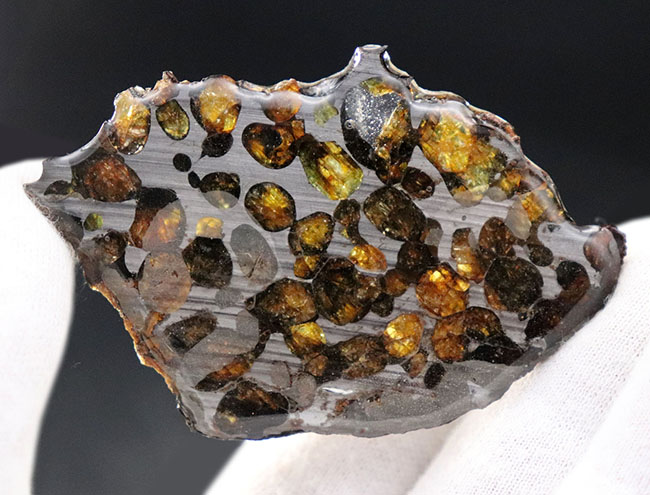 保存状態良好、ケニア産パラサイト隕石のピース（その4）