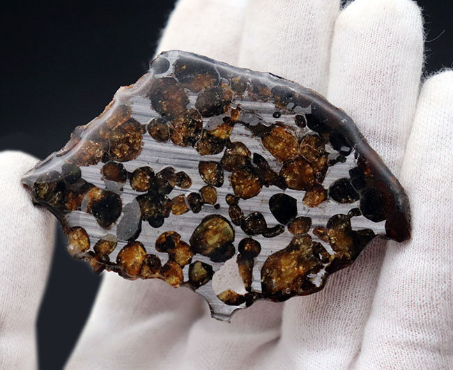 保存状態良好、ケニア産パラサイト隕石のピース（その5）