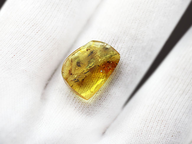 ハチ目の虫を内包した、バルト海産虫入り琥珀(Amber)。光が当たると黄金色に輝きます!まさにリトアニアンゴールド(その3)