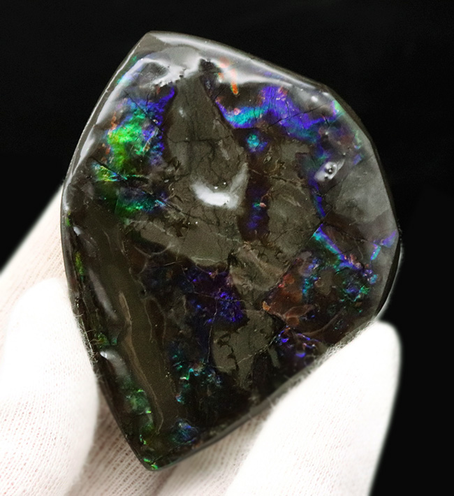 希少色のブルーやパープルを呈する、神秘的な味わいを持つアンモライト（Ammolite）のピース（その1）