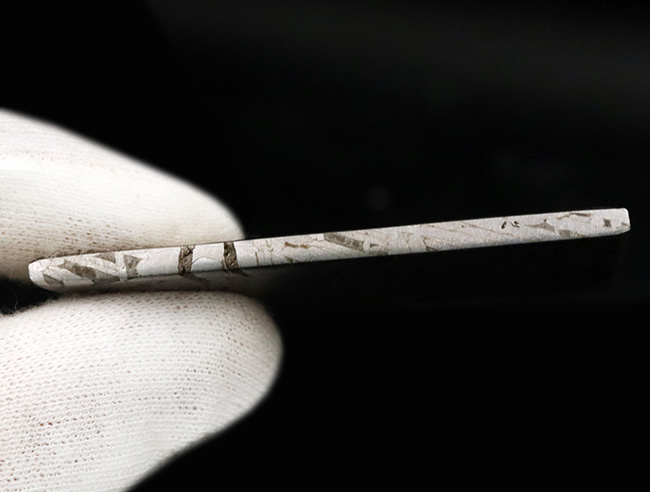 ムオニナルスタ（Muonionalusta）鉄隕石スライス標本 - 約100万年前に