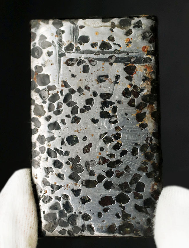 金属核とマントルの両方に起源を持つ、厚さ７ミリの分厚い、ケニア産の石鉄隕石、パラサイト標本（その1）