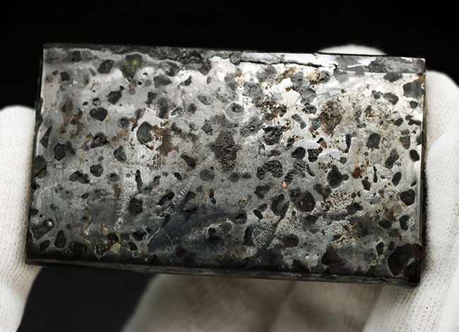 金属核とマントルの両方に起源を持つ、厚さ７ミリの分厚い、ケニア産の石鉄隕石、パラサイト標本（その3）