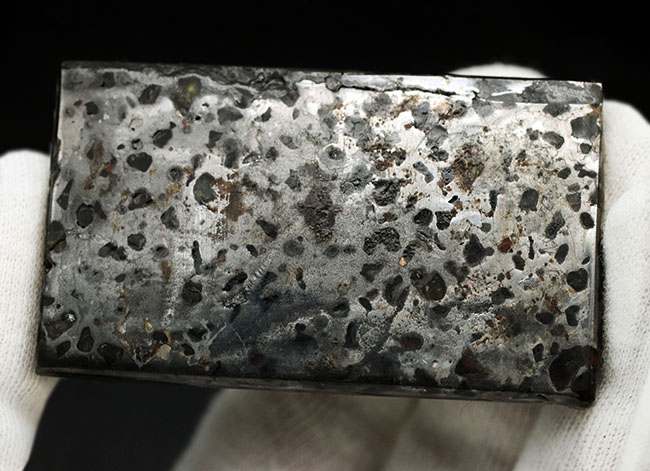 金属核とマントルの両方に起源を持つ、厚さ7ミリの分厚い、ケニア産の石鉄隕石、パラサイト標本(その3)
