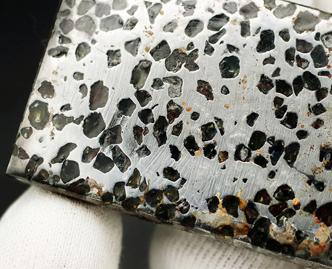 金属核とマントルの両方に起源を持つ、厚さ７ミリの分厚い、ケニア産の石鉄隕石、パラサイト標本（その5）