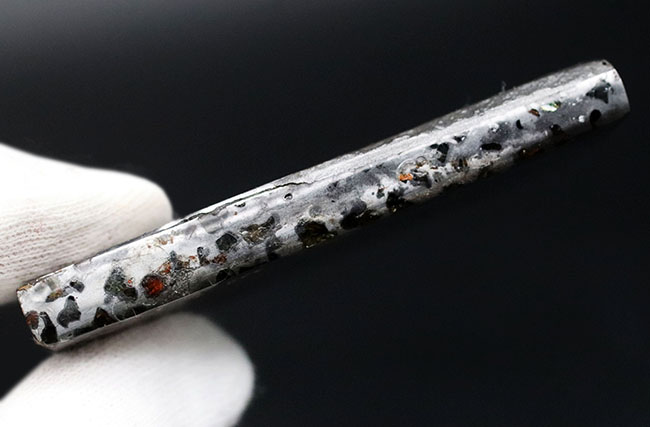 金属核とマントルの両方に起源を持つ、厚さ7ミリの分厚い、ケニア産の石鉄隕石、パラサイト標本(その7)