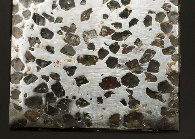 金属核とマントルの両方に起源を持つ、厚さ７ミリの分厚い、ケニア産の石鉄隕石、パラサイト標本（その8）