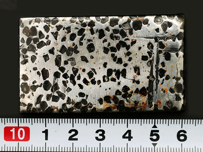 金属核とマントルの両方に起源を持つ、厚さ7ミリの分厚い、ケニア産の石鉄隕石、パラサイト標本(その9)