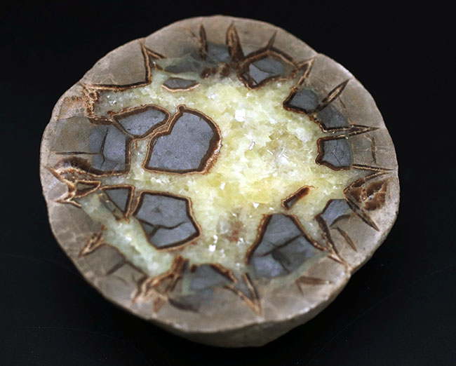 その生成過程が興味深い！ドラゴンストーンこと、イエローセプタリアン（Yellow septarian）のカット＆ポリッシュ標本（その2）