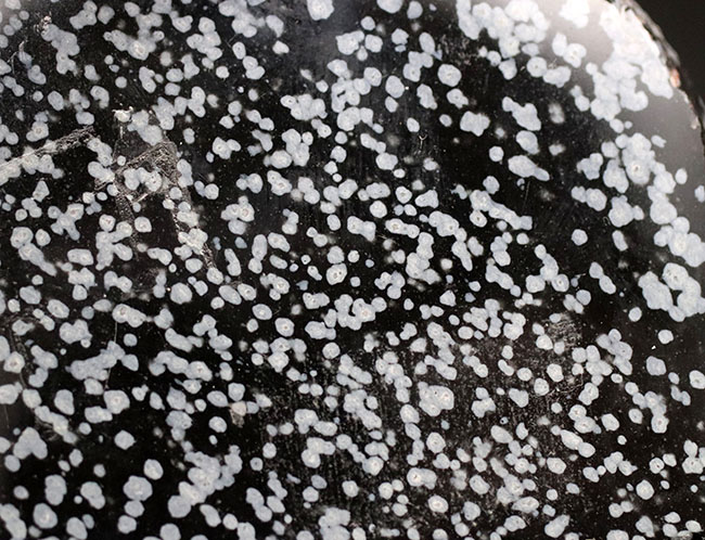 黒曜石のバラエティの一つ、夜空に雪が舞い散るかのような、美しき鉱物スノーフレーク（メキシコ産）（その7）