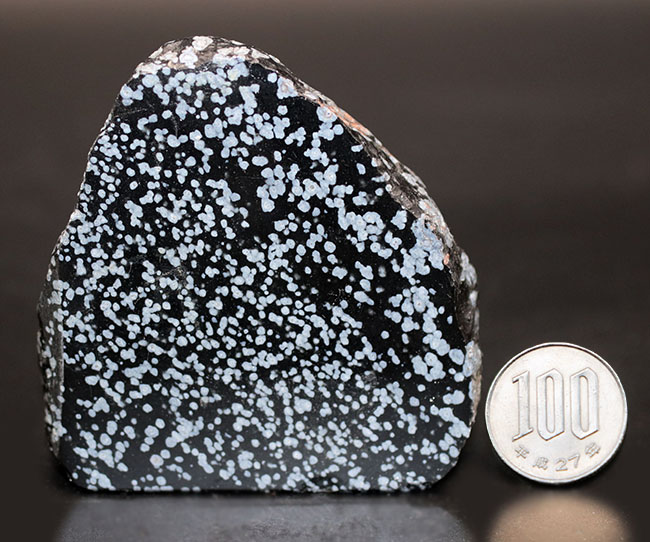 スノーフレーク？　鉱石　鉱物　原石 1769437419.jpg?1671707610