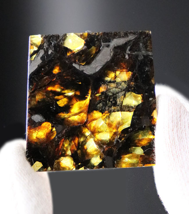 「素晴らしい」という名前が付けられた米国カンザス州産のパラサイト隕石、アドミア隕石（Admire meteorite）。専用ケース付き