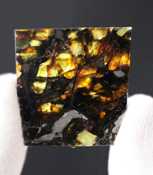 「素晴らしい」という名前が付けられた米国カンザス州産のパラサイト隕石、アドミア隕石（Admire meteorite）。専用ケース付き（その2）