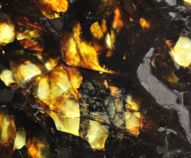 「素晴らしい」という名前が付けられた米国カンザス州産のパラサイト隕石、アドミア隕石（Admire meteorite）。専用ケース付き（その6）
