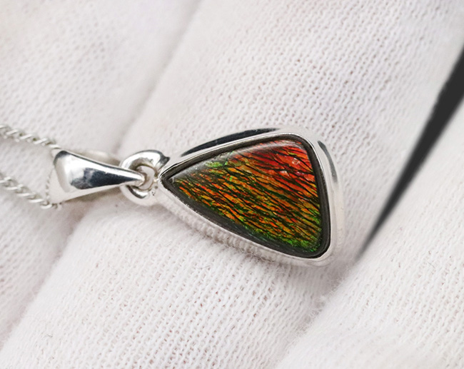 緑から赤への色の変化にご注目！遊色アンモナイトの王様！アンモ”ラ”イト（Ammolite）を使ったペンダントトップ。金具はスターリングシルバー。チェーン、革紐、ジュエリーケース付き（その3）