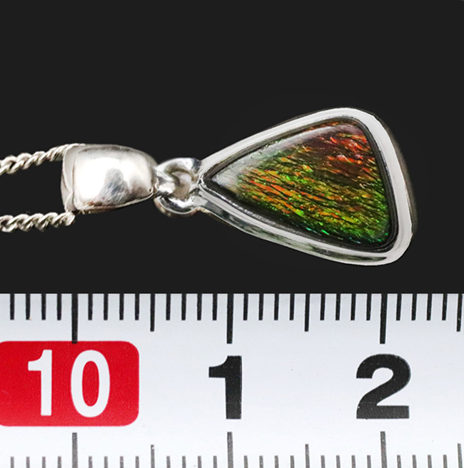 緑から赤への色の変化にご注目！遊色アンモナイトの王様！アンモ”ラ”イト（Ammolite）を使ったペンダントトップ。金具はスターリングシルバー。チェーン、革紐、ジュエリーケース付き（その8）