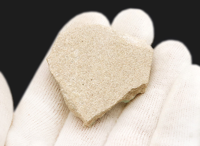 ブランド産地、オーストラリア・ミンタビーで発掘された天然オパールの原石(Opal)(その5)
