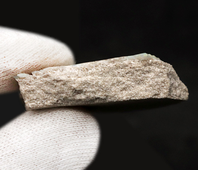 ブランド産地、オーストラリア・ミンタビーで発掘された天然オパールの