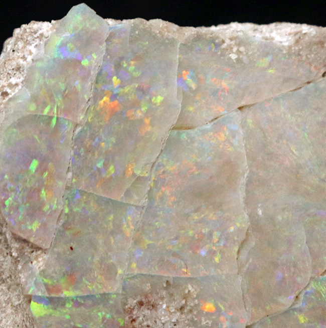 ブランド産地、オーストラリア・ミンタビーで発掘された天然オパールの原石(Opal)(その7)