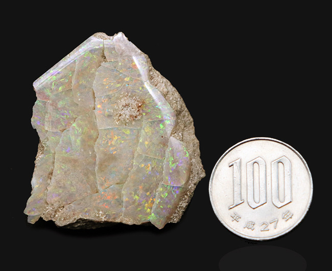 ブランド産地、オーストラリア・ミンタビーで発掘された天然オパールの原石(Opal)(その9)